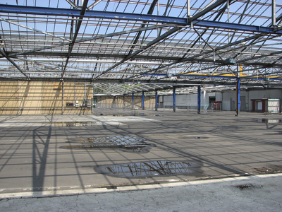 905408 Gezicht op de afbraak van het pand van de voormalige Bloemenveiling Vleuten (Utrechtseweg 109C) te Vleuten ...